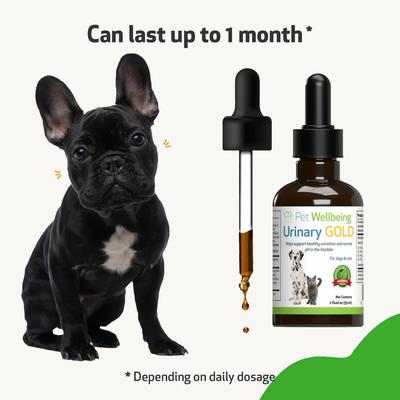 Show full view: Pet Wellbeing Urinary Gold Liquid Urinary Tract Supplement for Dogs & Cats, 2-oz bottle slide 8 of 10