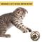 Show in main carousel: Pet Zone Ball of Furry Fury Cat Toy with Catnip slide 6 of 9