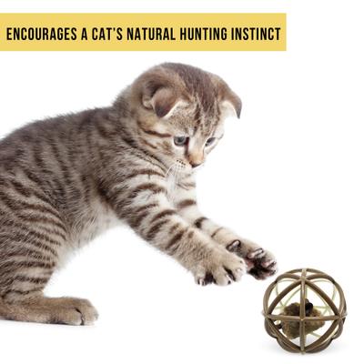 Show full view: Pet Zone Ball of Furry Fury Cat Toy with Catnip slide 6 of 9