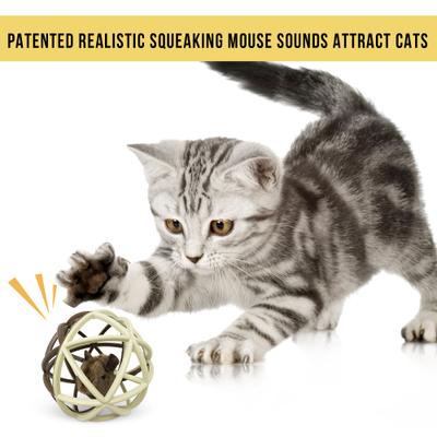 Show full view: Pet Zone Ball of Furry Fury Cat Toy with Catnip slide 7 of 9