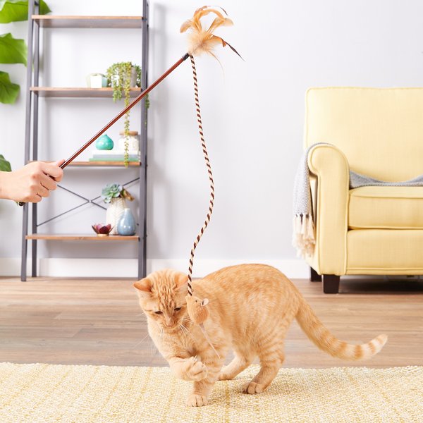 Pet Zone Bounce & Pounce Wand Cat Toy with Catnip