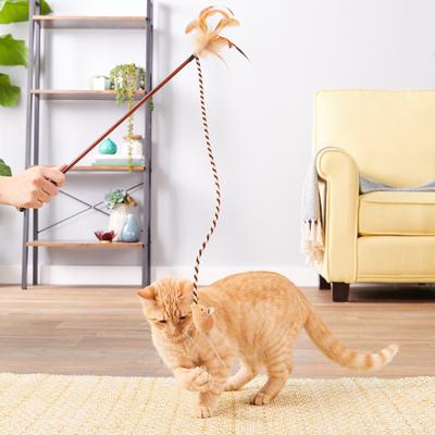 Show full view: Pet Zone Bounce & Pounce Wand Cat Toy with Catnip slide 2 of 8