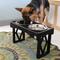 Show in main carousel: Pet Zone Designer Diner Adjustable Elevated Dog & Cat Bowls, 7-cup slide 7 of 9