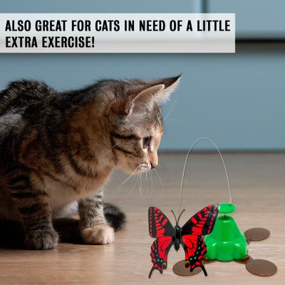 Show full view: Pet Zone Fly By Spinner Interactive Cat Toy slide 8 of 11