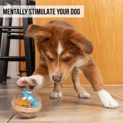 Pet Zone IQ Treat Dispenser Ball Dog Toy, 3-in slide 2 of 7