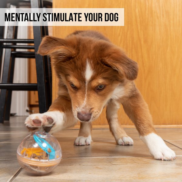 Show full view: Pet Zone IQ Treat Dispenser Ball Dog Toy, 3-in slide 2 of 9