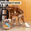 Show in main carousel: Pet Zone IQ Treat Dispenser Ball Dog Toy, 3-in slide 2 of 9