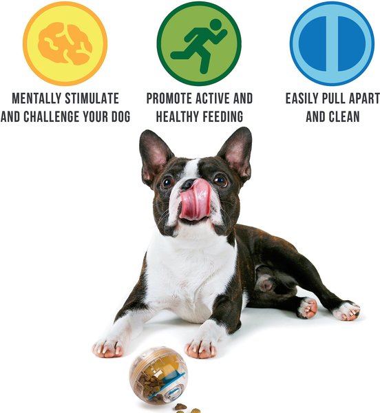 Show full view: Pet Zone IQ Treat Dispenser Ball Dog Toy, 3-in slide 3 of 9