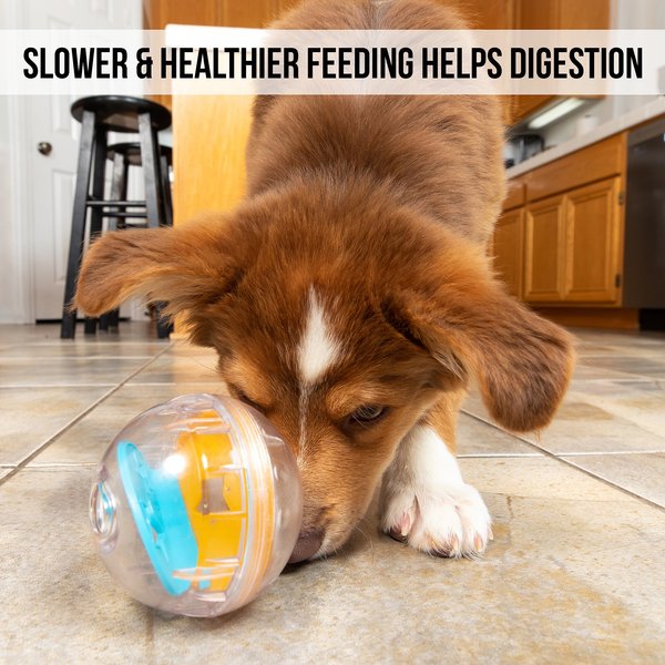 Show full view: Pet Zone IQ Treat Dispenser Ball Dog Toy, 3-in slide 5 of 9