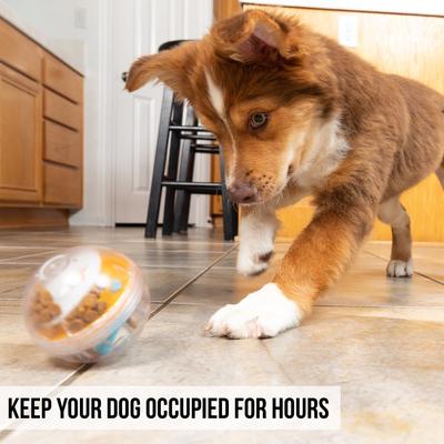 Show full view: Pet Zone IQ Treat Dispenser Ball Dog Toy, 3-in slide 7 of 9