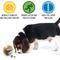 Show in main carousel: Pet Zone IQ Treat Dispenser Ball Dog Toy, 4-in slide 3 of 9