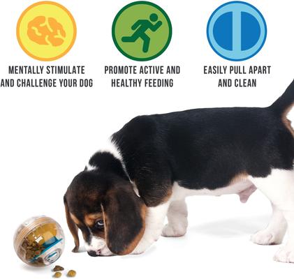 Show full view: Pet Zone IQ Treat Dispenser Ball Dog Toy, 4-in slide 3 of 9