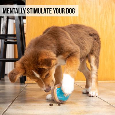 Show full view: Pet Zone IQ Treat Dispenser Ball Dog Toy, 4-in slide 6 of 9