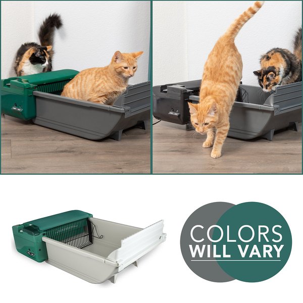 Pet Zone Smart Scoop Automatic Litter Box PET ZONE Smart Scoop Automatic Self-Cleaning Cat Litter Box - Chewy.com