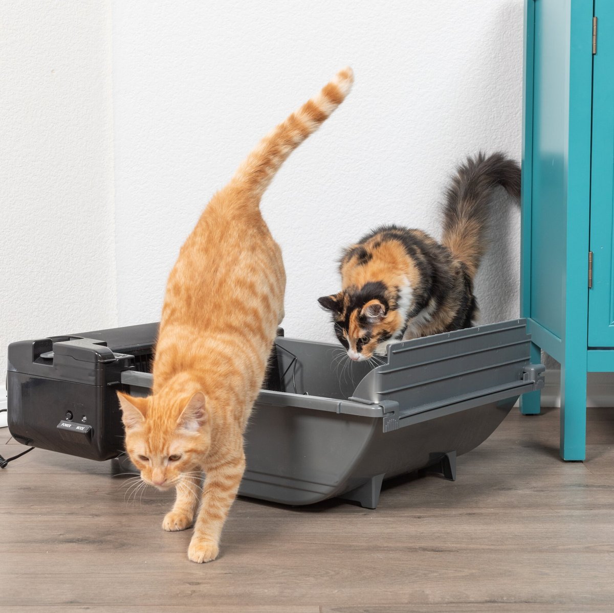 Pet Zone Smart Scoop Automatic Litter Box PET ZONE Smart Scoop Automatic Self-Cleaning Cat Litter Box - Chewy.com