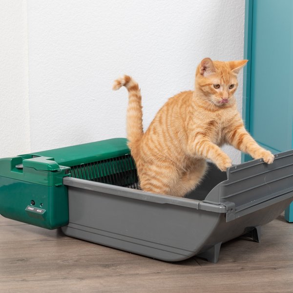 Pet Zone Smart Scoop Automatic Litter Box PET ZONE Smart Scoop Automatic Self-Cleaning Cat Litter Box - Chewy.com