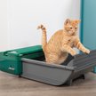 Pet Zone EZ Scoop No-Touch Manual Cat Litter Box
