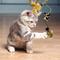 Show in main carousel: Pet Zone Tiger Teaser Wand Cat Toy with Catnip, Color Varies slide 7 of 8