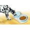 Show in main carousel: PetAble Non-Skid Dog Bowl Tray, Beige, 8.5-in slide 4 of 6