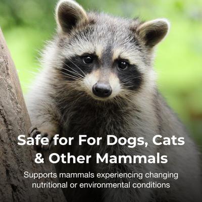 Show full view: PetAg Bene-Bac Plus Pet Gel FOS & Probiotics for Dogs, Cats, Exotic & Wildlife Mammals, 15-g syringe slide 4 of 11