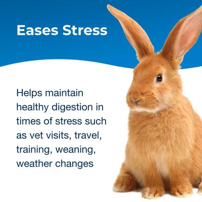 Show full view: PetAg Bene-Bac Plus Pet Gel FOS & Probiotics for Dogs, Cats, Exotic & Wildlife Mammals, 15-g syringe slide 6 of 11