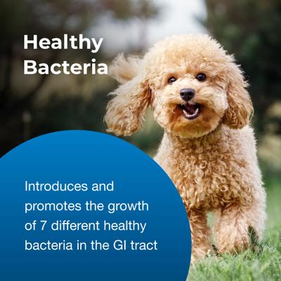 Show full view: PetAg Bene-Bac Powder FOS & Probiotics for Dogs, Cats, Exotic & Wildlife Mammals, 4.5-oz bottle slide 7 of 10