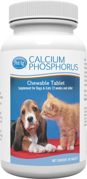 Calcium in Dogs Diet: Essential for Strong Bones