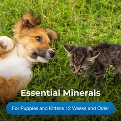 PetAg Calcium Phosphorus Daily Chewable Supplement Tablets for Dogs & Cats 12 Weeks & Older, 50-count slide 2 of 6