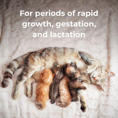 Show full view: PetAg Calcium Phosphorus Daily Chewable Supplement Tablets for Dogs & Cats 12 Weeks & Older, 50-count slide 6 of 9