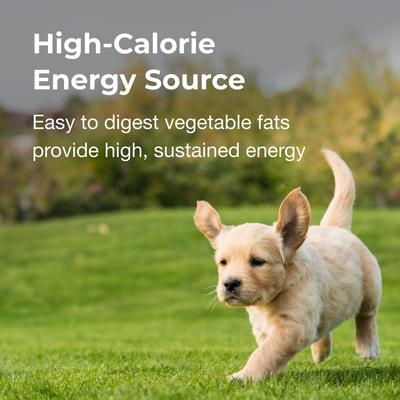 Show full view: PetAg Chicken Flavor High Calorie Gel Supplement for Dogs, 5-oz tube slide 6 of 9