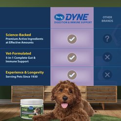 PetAg Dyne Chicken Liver Flavored Soft Chew Digestion & Immune Support Supplement for Dogs, 60 count slide 2 of 8