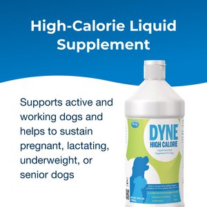 PetAg Dyne High Calorie Liquid Nutritional Supplement for Dogs & Puppies 8 Weeks & Older, 16-fl oz bottle