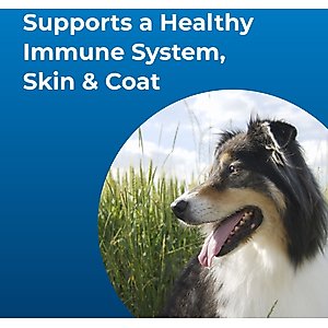 PetAg Dyne High Calorie Liquid Nutritional Supplement for Dogs & Puppies 8 Weeks & Older, 16-fl oz bottle