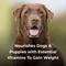 Show in main carousel: PetAg Dyne High Calorie Liquid Nutritional Supplement for Dogs & Puppies 8 Weeks & Older, 1-gal bottle slide 6 of 8