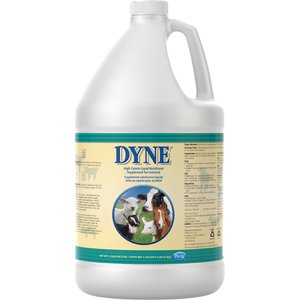 PetAg Dyne High Calorie Liquid Nutritional Supplement for Livestock, 1-gallon bottle