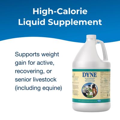 Show full view: PetAg Dyne High Calorie Liquid Nutritional Supplement for Livestock, 1-gallon bottle slide 2 of 6