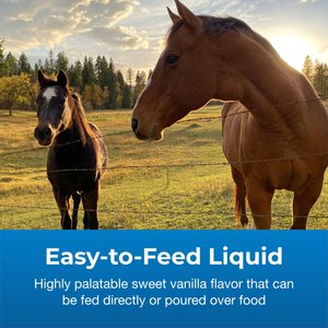 PetAg Dyne High Calorie Liquid Nutritional Supplement for Livestock, 1-gallon bottle