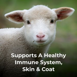 PetAg Dyne High Calorie Liquid Nutritional Supplement for Livestock, 1-gallon bottle