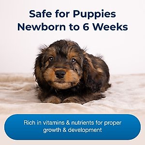 PetAg Esbilac Puppy Milk Replacer Powder for Puppies, 28-oz can