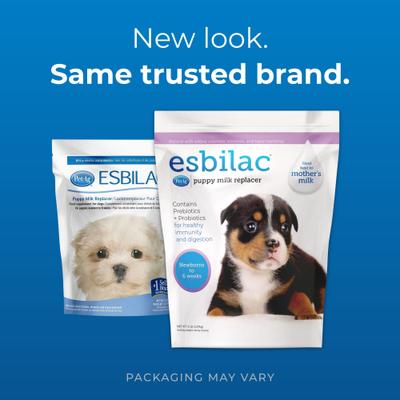 Show full view: PetAg Esbilac Puppy Milk Replacer Powder for Puppies, 5-lb bag slide 3 of 11