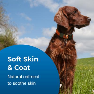 Show full view: PetAg Fresh 'n Clean 2-N-1 Oatmeal Conditioning Dog Shampoo, Tropical Fresh Scent, 18-fl oz bottle slide 4 of 10