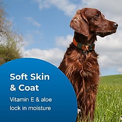 PetAg Fresh 'n Clean Waterless Dog Shampoo, Classic Fresh Scent, 12-fl oz bottle slide 2 of 6