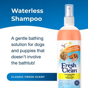 PetAg Fresh 'n Clean Waterless Dog Shampoo, Classic Fresh Scent, 12-fl oz bottle