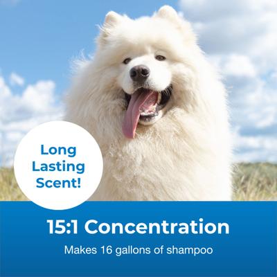 Show full view: PetAg Fresh 'n Clean Whitening Snowy-Coat Dog Shampoo, Vanilla Scent, 15:1 Concentrate, 1-gal bottle slide 4 of 9