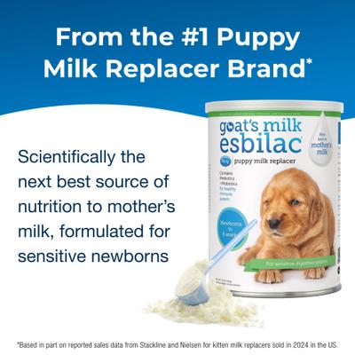 Show full view: PetAg Goat's Milk Esbilac Puppy Milk Replacer Powder for Puppies, 12-oz can slide 3 of 11