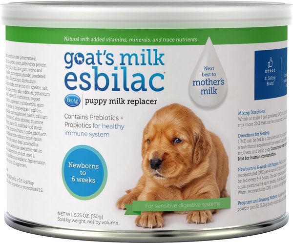 Newborn Puppies Best Milk Replacement For Puppies Bottle Feeding