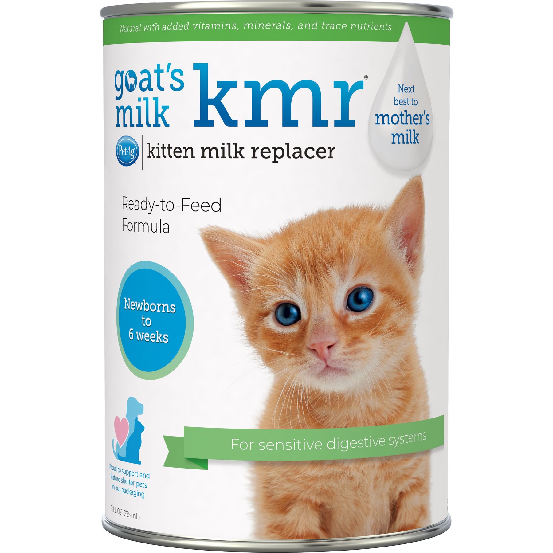 can you give a baby kitten regular milk