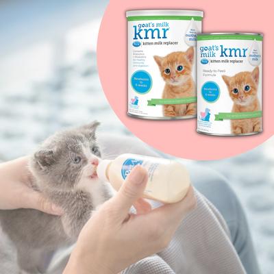 Show full view: PetAg Goat's Milk KMR Kitten Milk Replacer Liquid for Kittens, 11-fl oz can slide 8 of 12