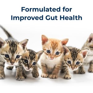 PetAg Goat's Milk KMR Kitten Milk Replacer Liquid for Kittens, 11-fl oz can