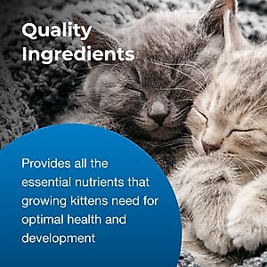 PetAg Goat's Milk KMR Kitten Milk Replacer Powder for Kittens, 12-oz can